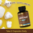 lions-mane-supplement-capsules-lion-mane-3.jpg