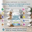 9-in-1-valerian-root-for-dogs-200mg-cham-3.jpg