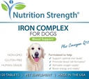 iron-for-dogs-with-anemia-to-support-blo-6.jpg
