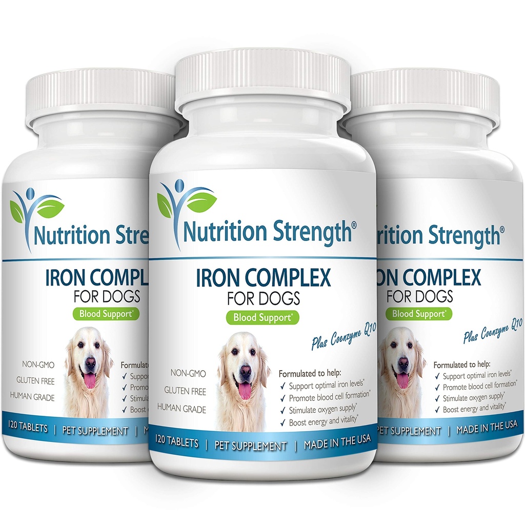 iron-for-dogs-with-anemia-to-support-blo-4.jpg