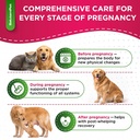 dog-prenatal-vitamins-for-moms-during-la-6.jpg