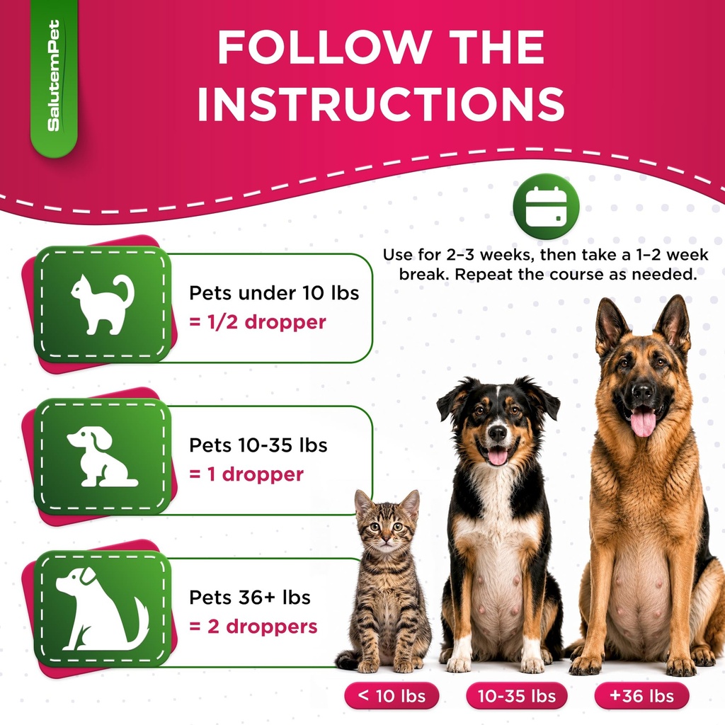 dog-prenatal-vitamins-for-moms-during-la-5.jpg