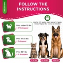 dog-prenatal-vitamins-for-moms-during-la-5.jpg