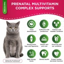 dog-prenatal-vitamins-for-moms-during-la-2.jpg
