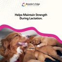 breeder-s-edge-oral-cal-plus-powder-calc-4.jpg