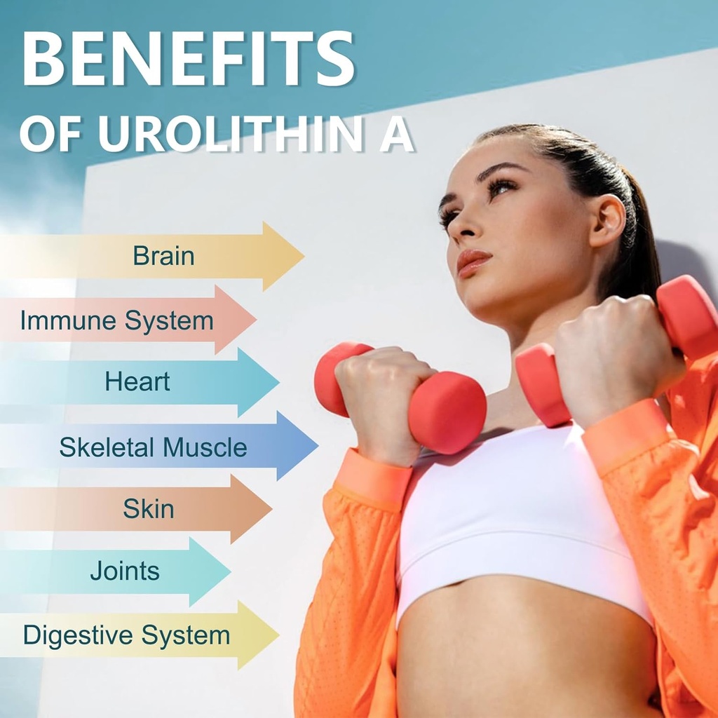 totaria-urolithin-a-supplement-1000mg-wi-3.jpg
