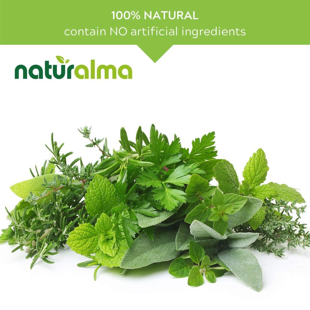 naturalma-ginkgo-ginkgo-biloba-leaf-alco-4.jpg
