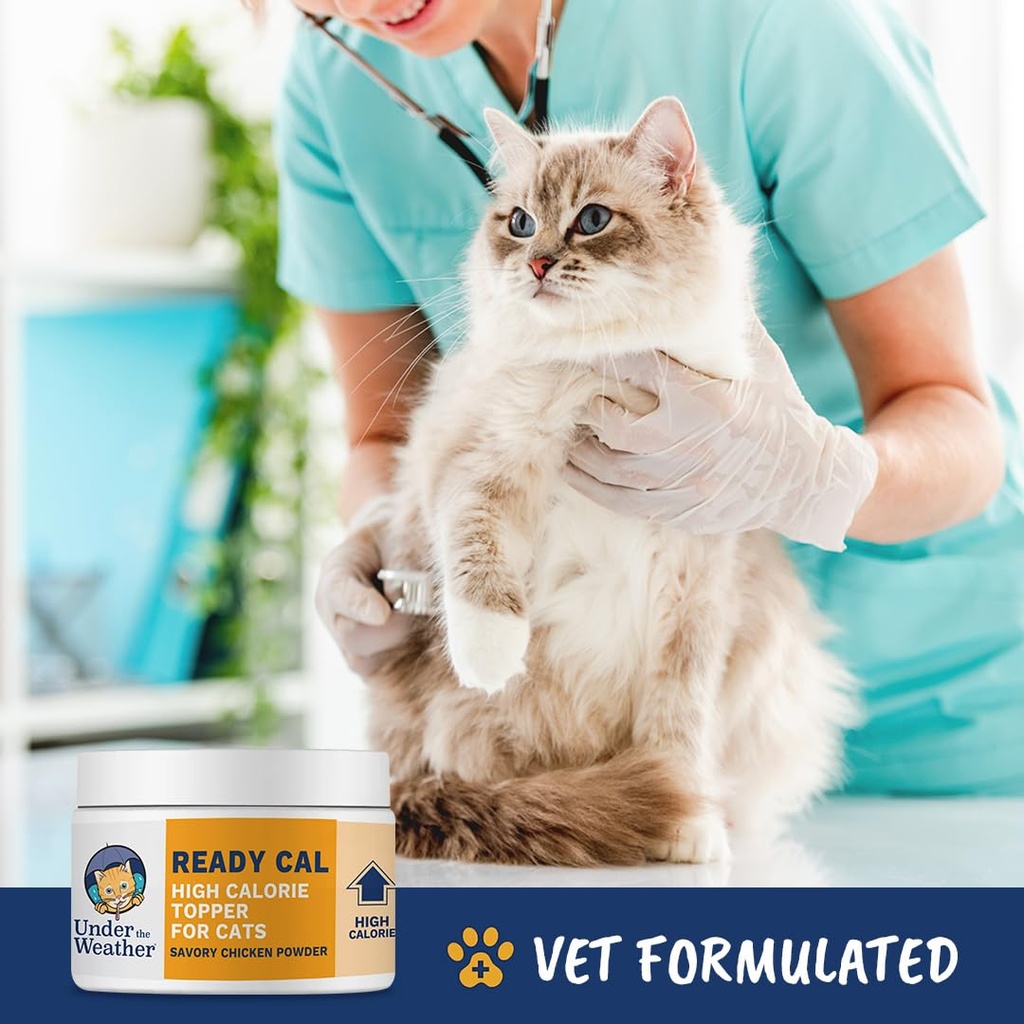 under-the-weather-ready-cal-powder-for-c-3.jpg