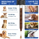 yeast-infection-treatment-for-dog-natura-6.jpg