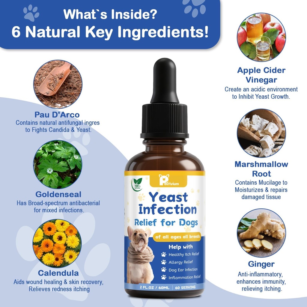 yeast-infection-treatment-for-dog-natura-4.jpg