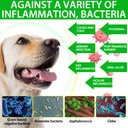 nenmaokenu-antibiotics-for-dogs-natural--4.jpg