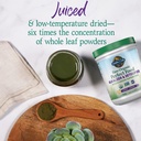 garden-of-life-raw-organic-perfect-food--4.jpg