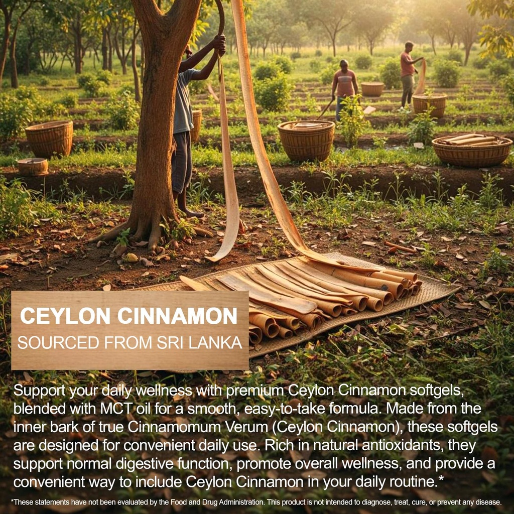 ceylon-cinnamon-with-mct-oil-capsules-30-5.jpg