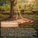 ceylon-cinnamon-with-mct-oil-capsules-30-5.jpg
