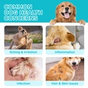 2pack-natural-yeast-infection-treatment--2.jpg