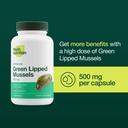 green-lipped-mussel-capsules-strongest-d-2.jpg