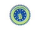 organic-brahmi-gotukola-mix-bacopa-monni-5.jpg