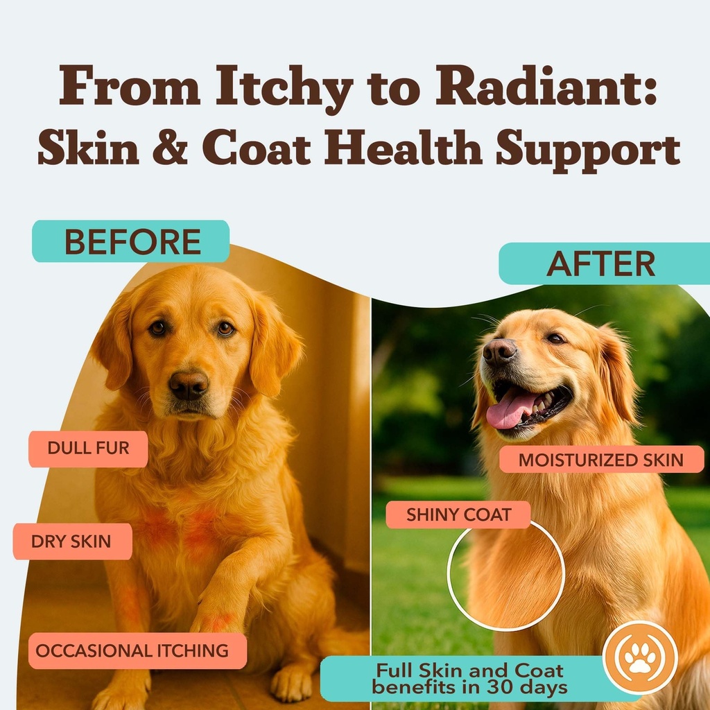natural-dog-company-skin-coat-supplement-2.jpg
