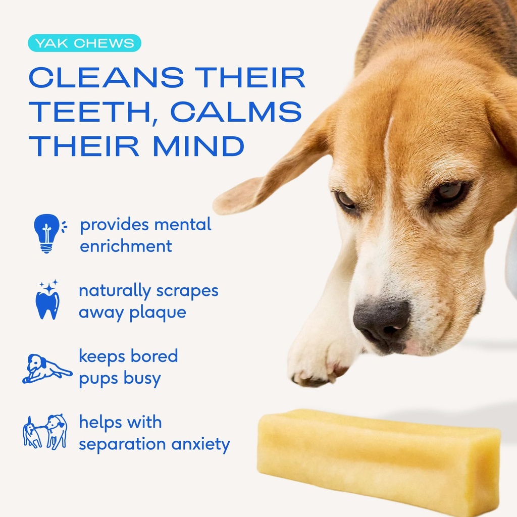 native-pet-health-wellness-bundle-3-medi-2.jpg