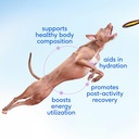 native-pet-health-wellness-bundle-organi-2.jpg