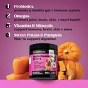 pet-honesty-dog-wellness-bundle-10-in-1--4.jpg
