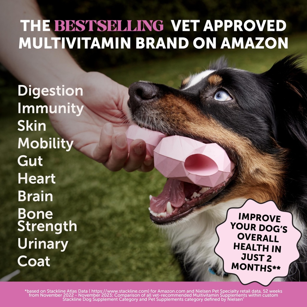 pet-honesty-dog-wellness-bundle-10-in-1--2.jpg