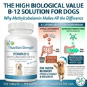 vitamin-b12-for-dogs-plus-folate-calcium-5.jpg