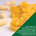 health-thru-nutrition-boswellia-300mg-60-6.jpg