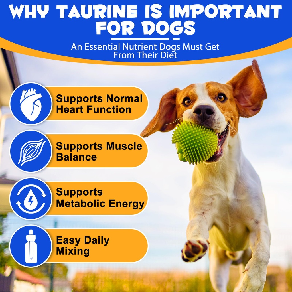 taurine-for-dogs-taurine-liquid-suppleme-2.jpg