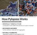 5-in-1-high-potency-h-pylori-treatment-p-2.jpg