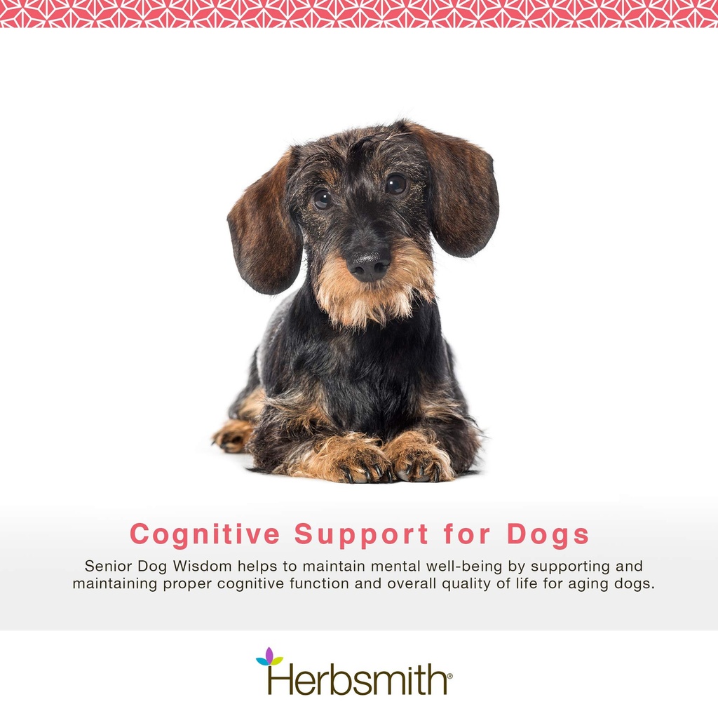 herbsmith-senior-dog-wisdom-dog-dementia-2.jpg