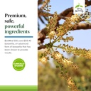 terry-naturally-bosmed-500-extra-strengt-5.jpg