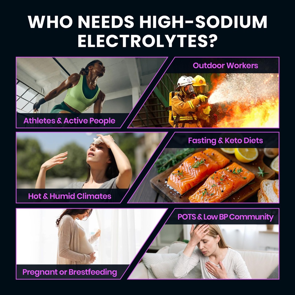 venture-pal-high-sodium-sugar-free-elect-4.jpg
