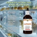 alfalfa-medicago-sativa-dry-leaf-tinctur-4.jpg