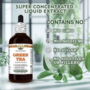 green-tea-camellia-sinensis-dry-leaf-gly-6.jpg