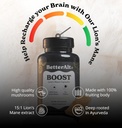 better-alt-lions-mane-mushroom-capsules--2.jpg