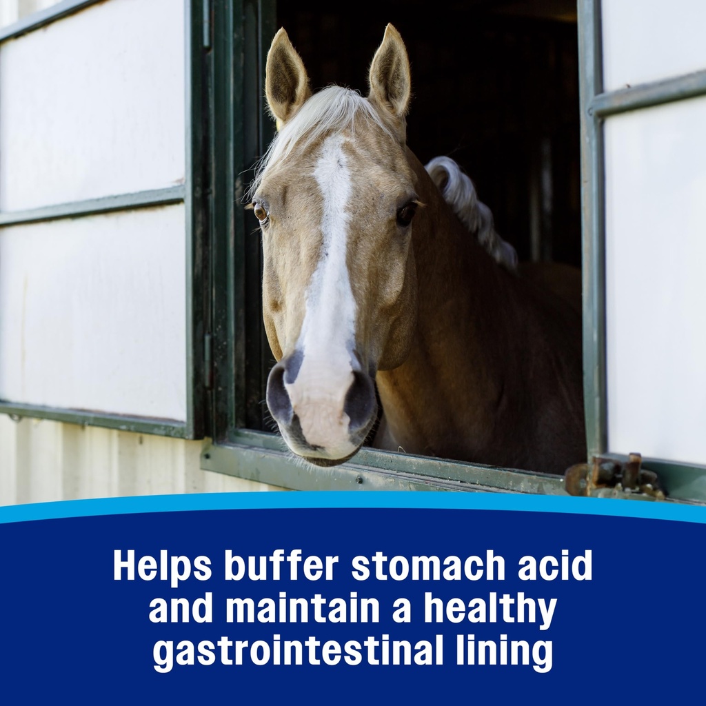 farnam-gastric-health-pellets-daily-gut--5.jpg