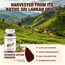 ceylon-cinnamon-softgels-organic-ceylon--5.jpg