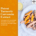 new-nordic-turmeric-curcumin-gummies-sug-3.jpg
