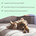 dr-mercola-bark-whiskers-new-zealand-col-6.jpg
