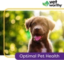 vet-worthy-puppy-multivitamins---multivi-4.jpg