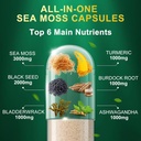 fat-burner-for-men-women-sea-moss-capsul-2.jpg