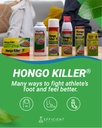hongo-killer-antifungal-powder-athlete-s-4.jpg