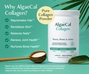 algaecal-calcium-collagen-bundle-hydroly-3.jpg