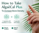 algaecal-bundle-calcium-supplement-with--5.jpg