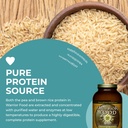 healthforce-superfoods-warrior-food-prot-5.jpg