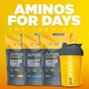 purbolics-aminos-energy-supports-recover-6.jpg