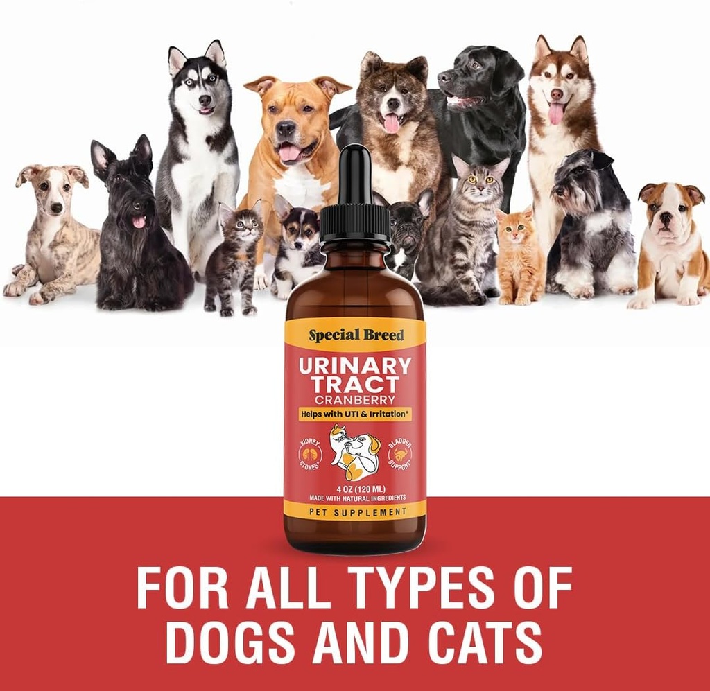 special-breed-urinary-tract-infection-tr-4.jpg