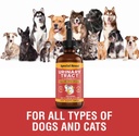 special-breed-urinary-tract-infection-tr-4.jpg