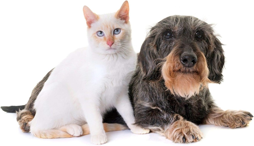 cat-urinary-care---pets-urinary-health-c-3.jpg